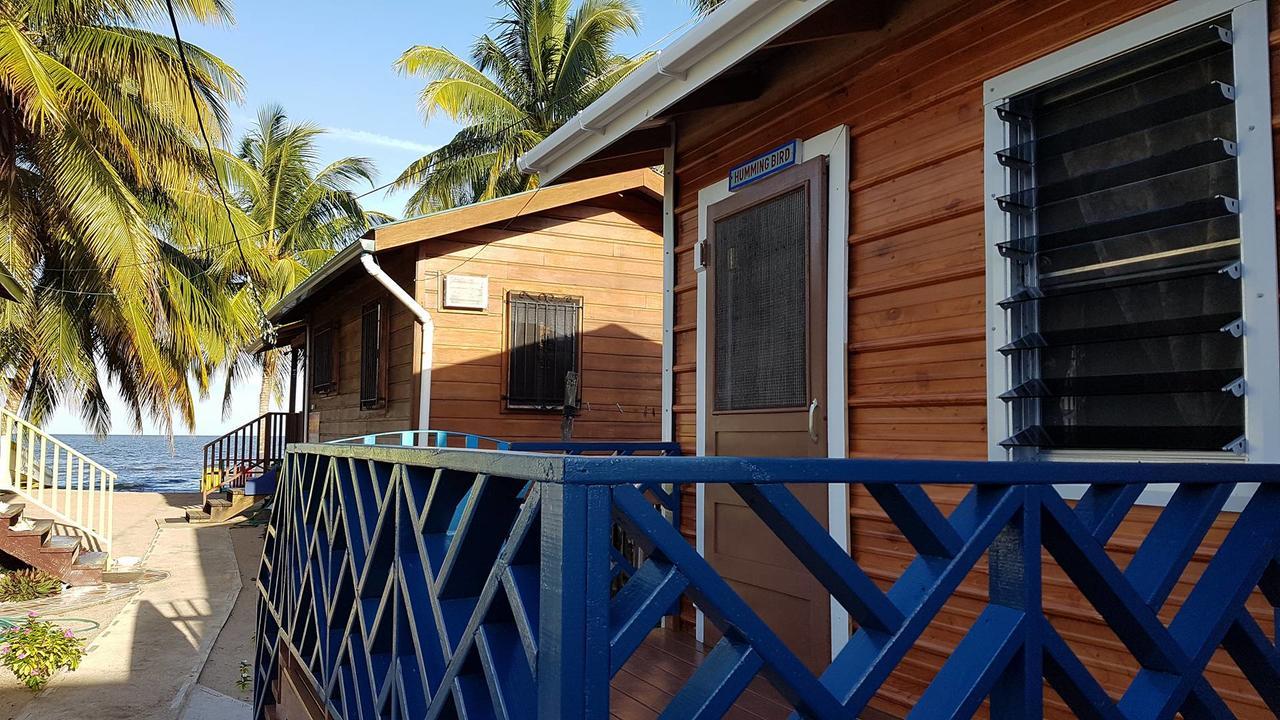 Sandpiper Beach Cabanas Villa Dangriga Exteriör bild